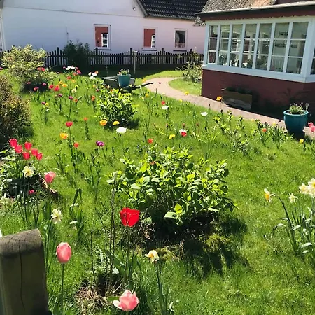 Hues Sanskiin *goodshenk* *