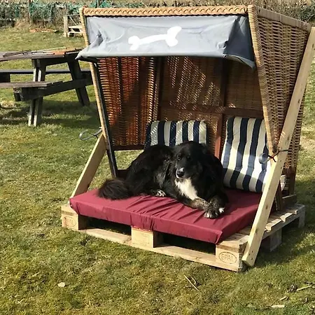 Apartament Hues Sanskiin *goodshenk* *