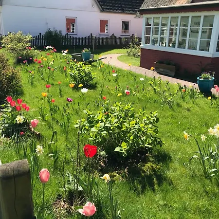 Hues Sanskiin *goodshenk* Suddorf