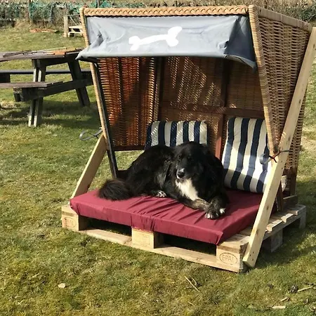 Hues Sanskiin *goodshenk* Suddorf