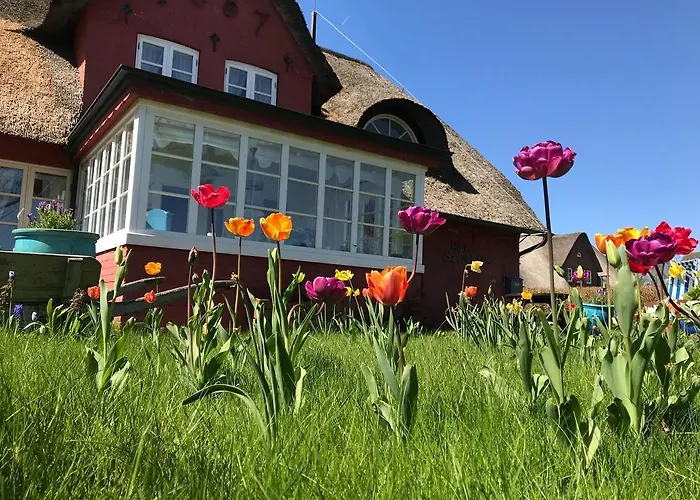 شقة Hues Sanskiin *goodshenk* Suddorf